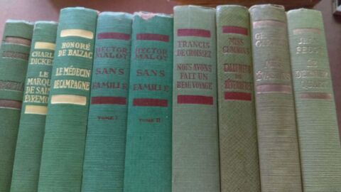 Livres bibliothque verte 10 Bruges (33)