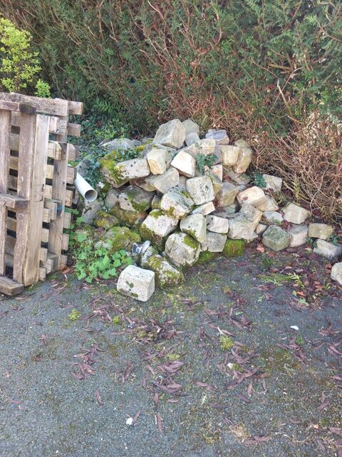 vous avez besoin de pav�s  0 Dannemarie (78)