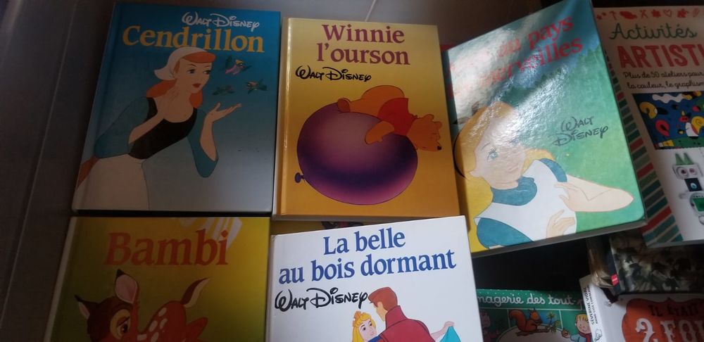 livres enfant Livres et BD