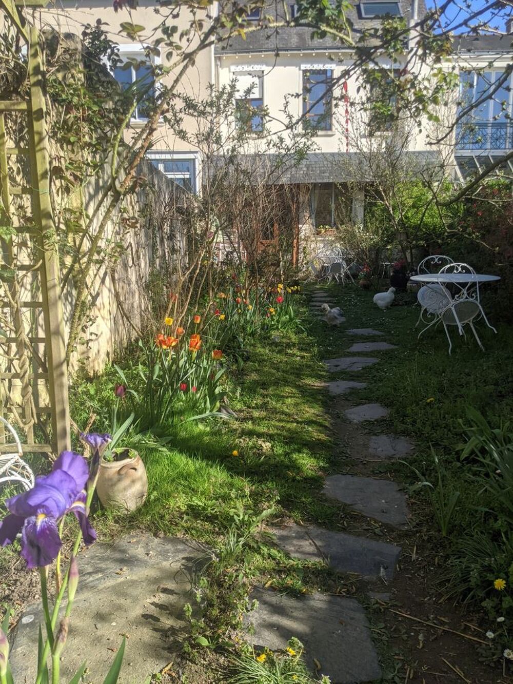 Location Colocation Bonjour 
Chambre meublée dans maison Angevine Angers