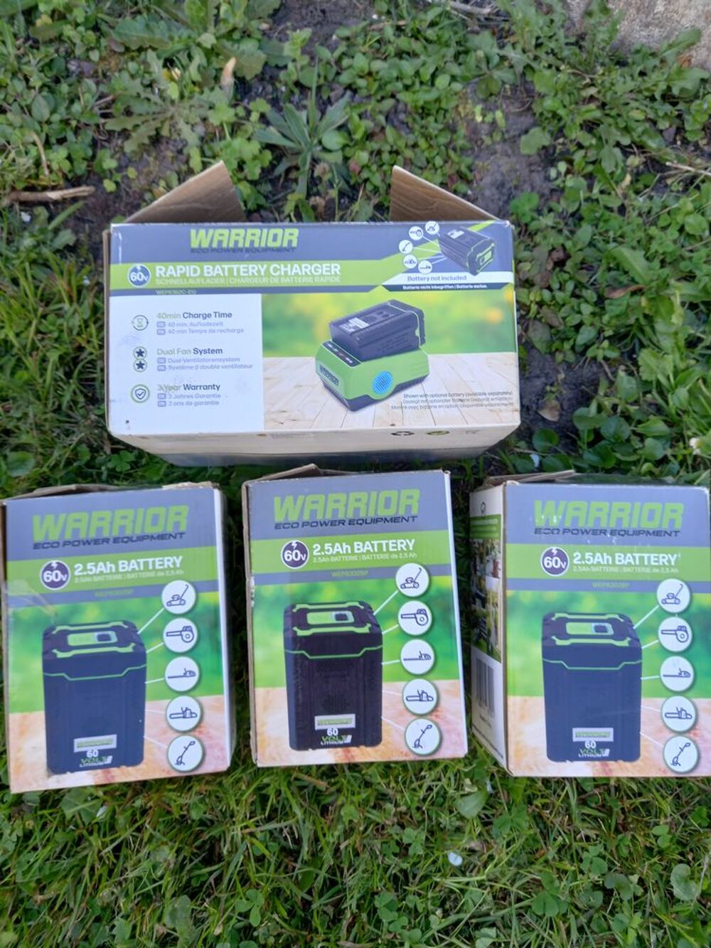 tondeuse gazon Jardin