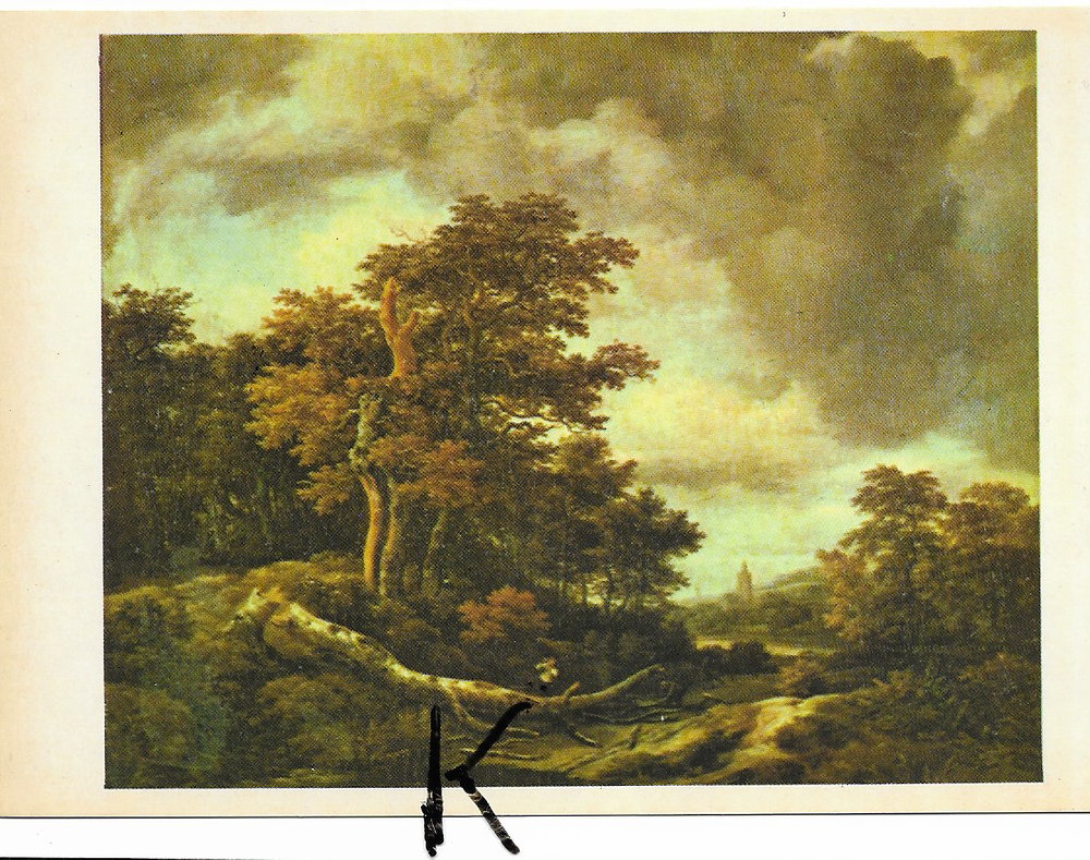 C P M ,Reproduction , Van Ruysdael Jacob , la For&ecirc;t 