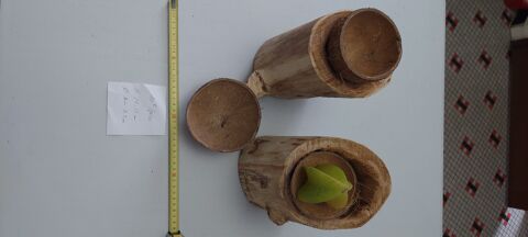 Diff�rents B�ches et Troncs creux d�co 0 La Limouzini�re (44)