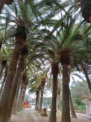 Location  Maison - Villa 