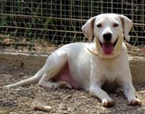   Betty cherche une famille! 