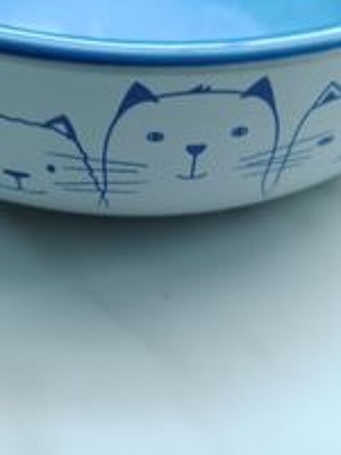   Gamelle pour chat 