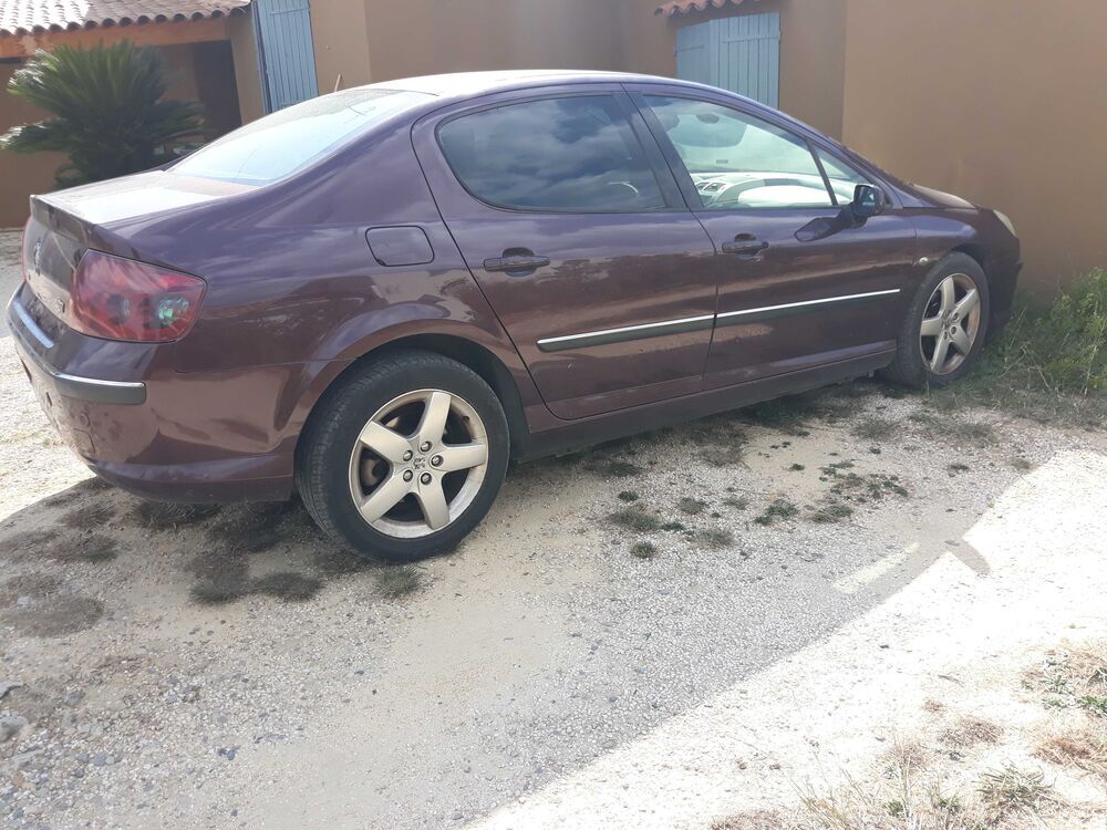 407 2.0 HDi 16v Ex&eacute;cutive Pack FAP A 2005 occasion 83330 Le Castellet