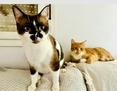 KIRA & CASPER 27620 Gasny