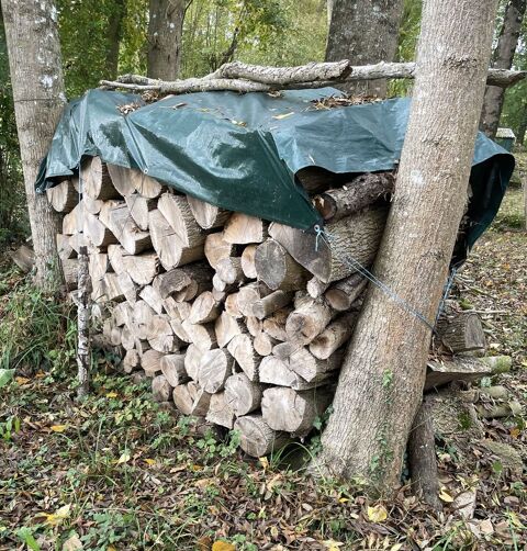 BOIS DE CHAUFFAGE 60 Chambourg-sur-Indre (37)