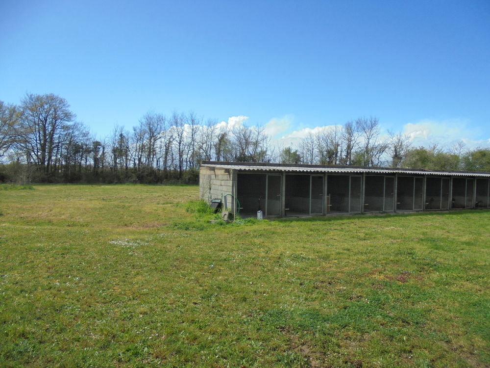   pension canine et feline  