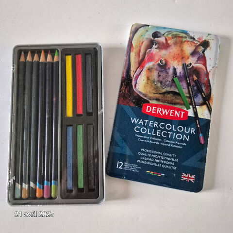 Crayon et btonnet aquarellable Derwent WaterColour 12 piece 190 Saumur (49)