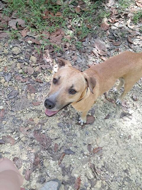 A&Iuml;KO la douceur des &icirc;les 350 22000 Saint-brieuc