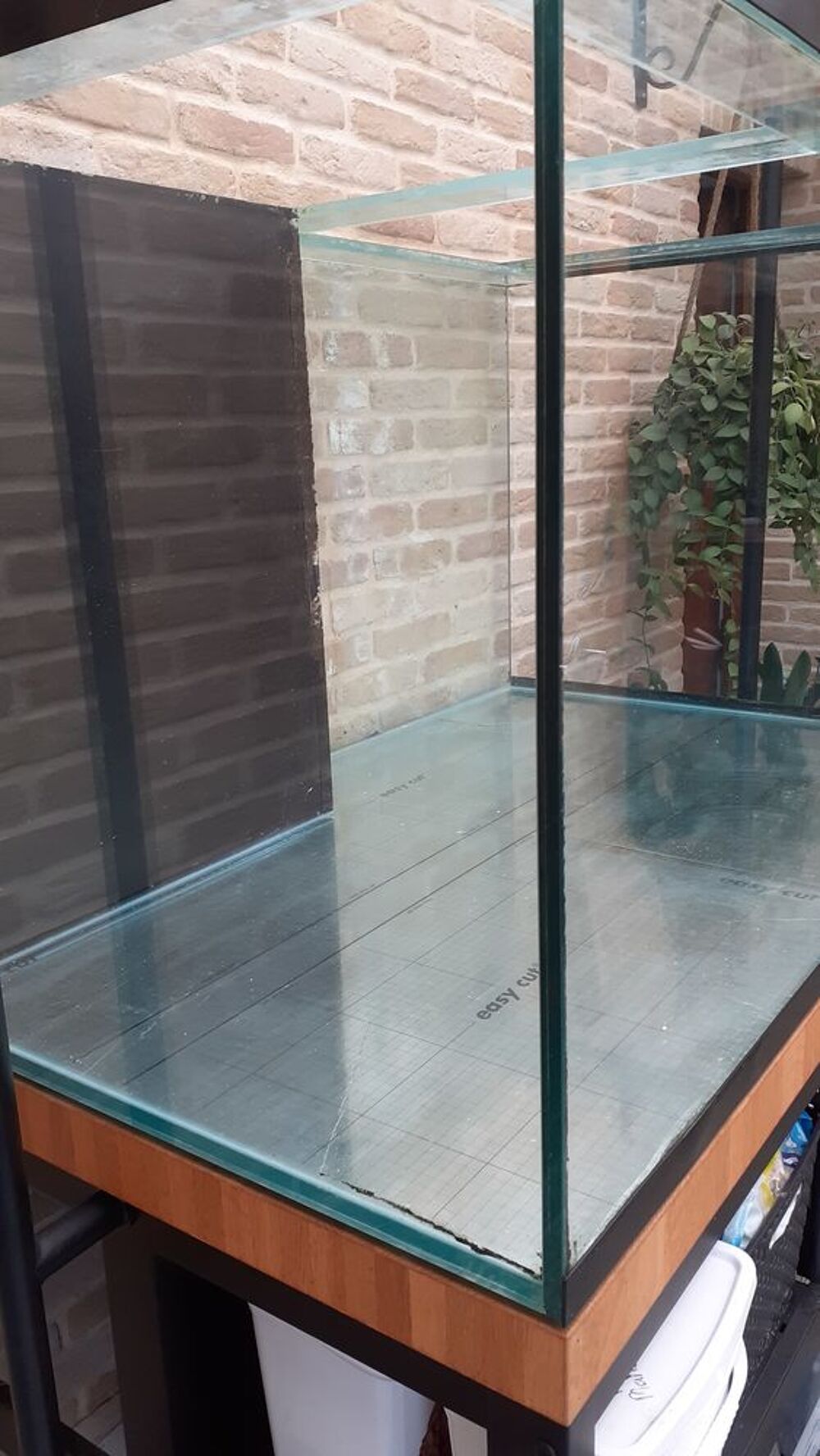 AQUARIUM 'CUVE SEULE' Décoration