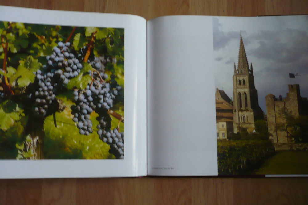 SAINT-&Eacute;MILION, AU-DEL&Agrave; D'UNE APPELLATION de Alain DENIS 2001 Livres et BD