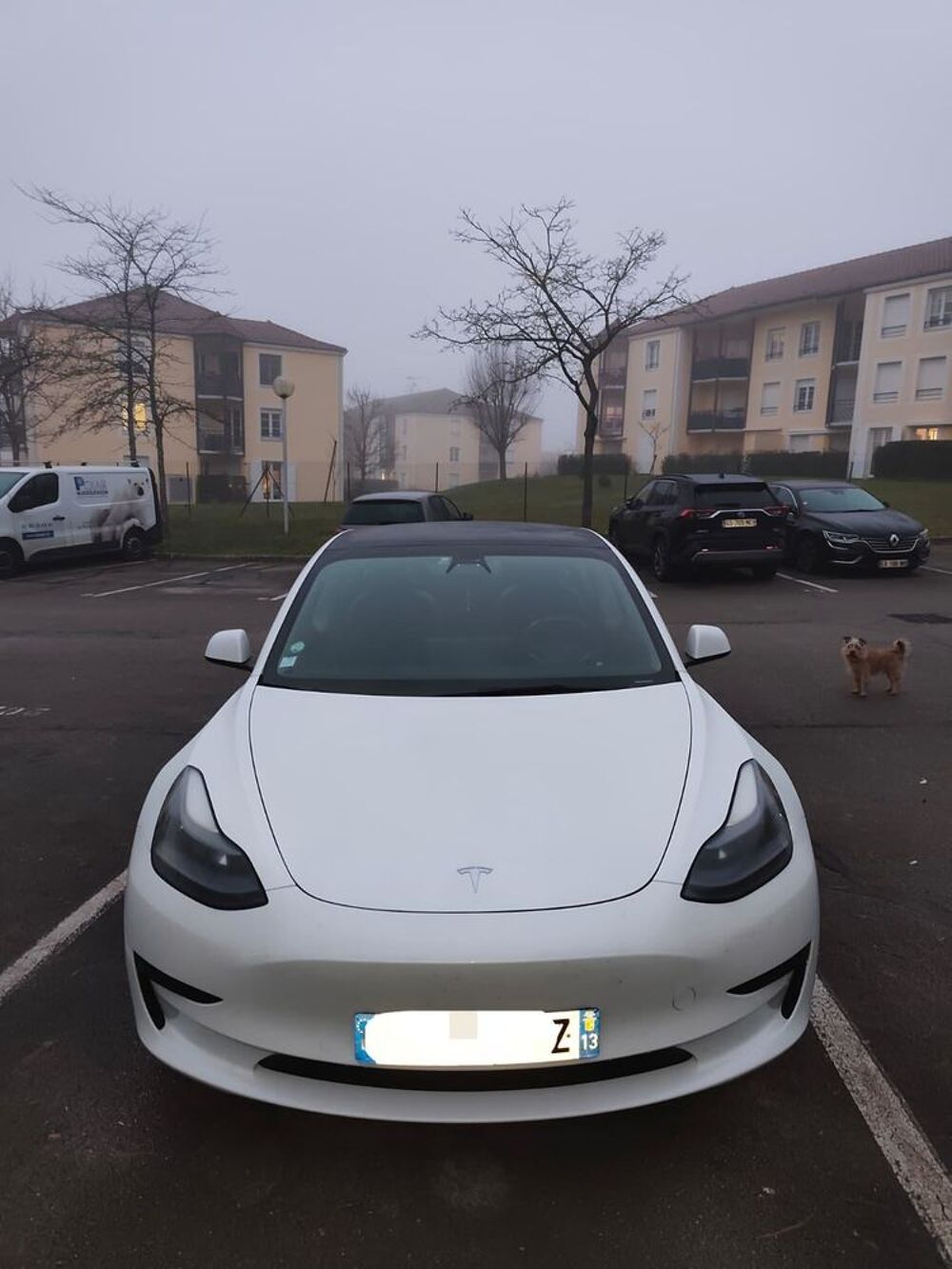 Model 3 MODEL 3 Autonomie Standard Plus RWD 2021 occasion 21000 Dijon