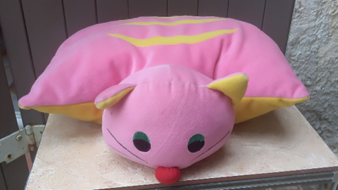 Coussin chat transformable 10 Roquefort-les-Pins (06)