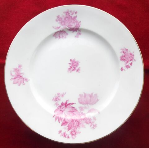 6 Plats divers en porcelaine de Limoges blancs décors fleurs 50 Castries (34)