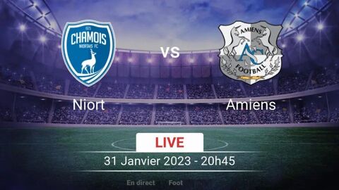 2 places de foot NIORT vs AMIENS ce mardi 31 janvier à 20h45 3 Niort (79)
