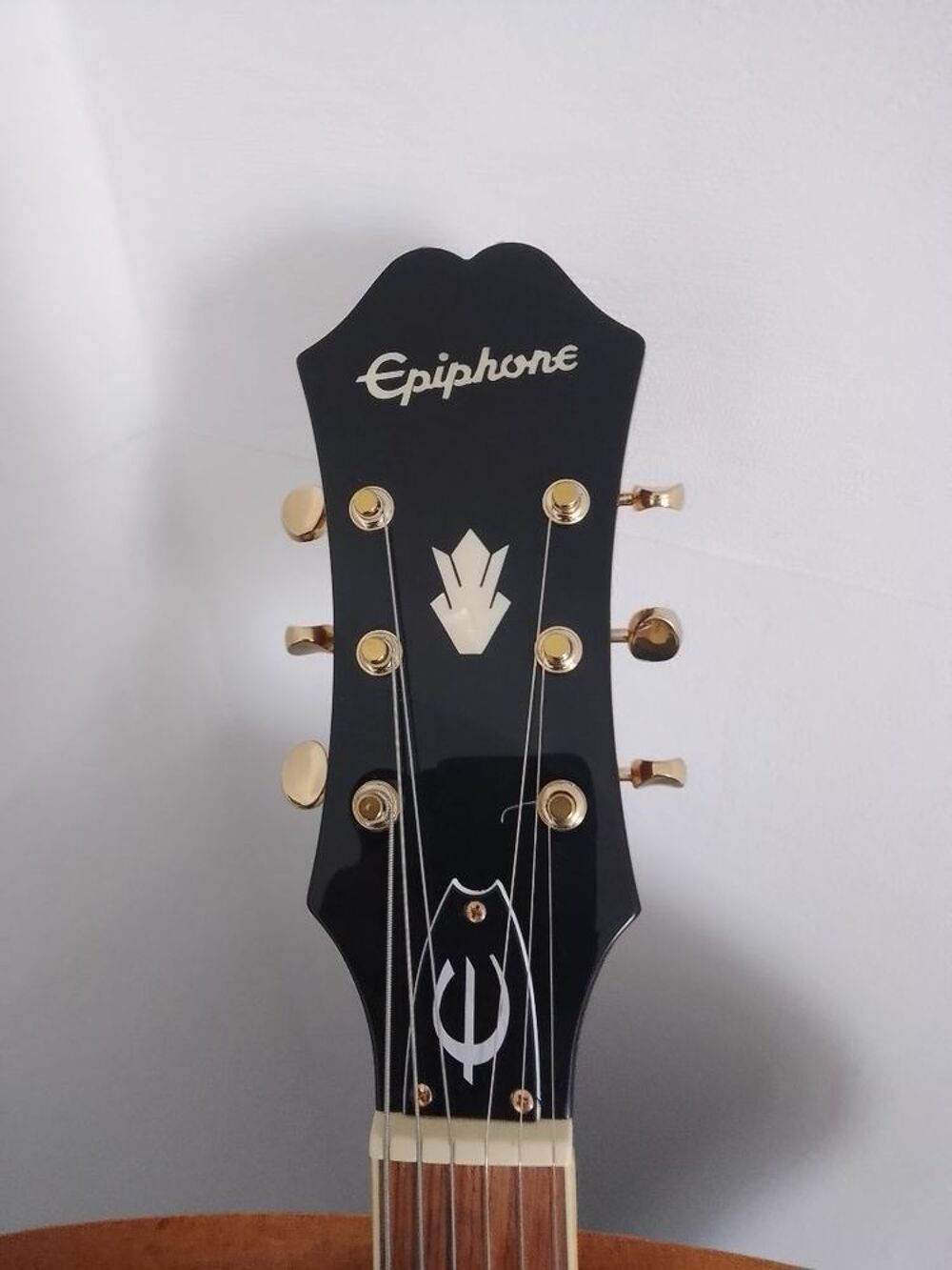 Guitare &eacute;lectrique Epiphone Riviera Instruments de musique