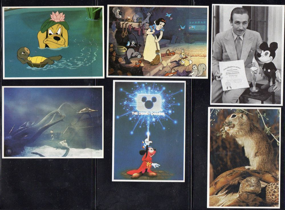 LOTS D'IMAGES POULAIN 