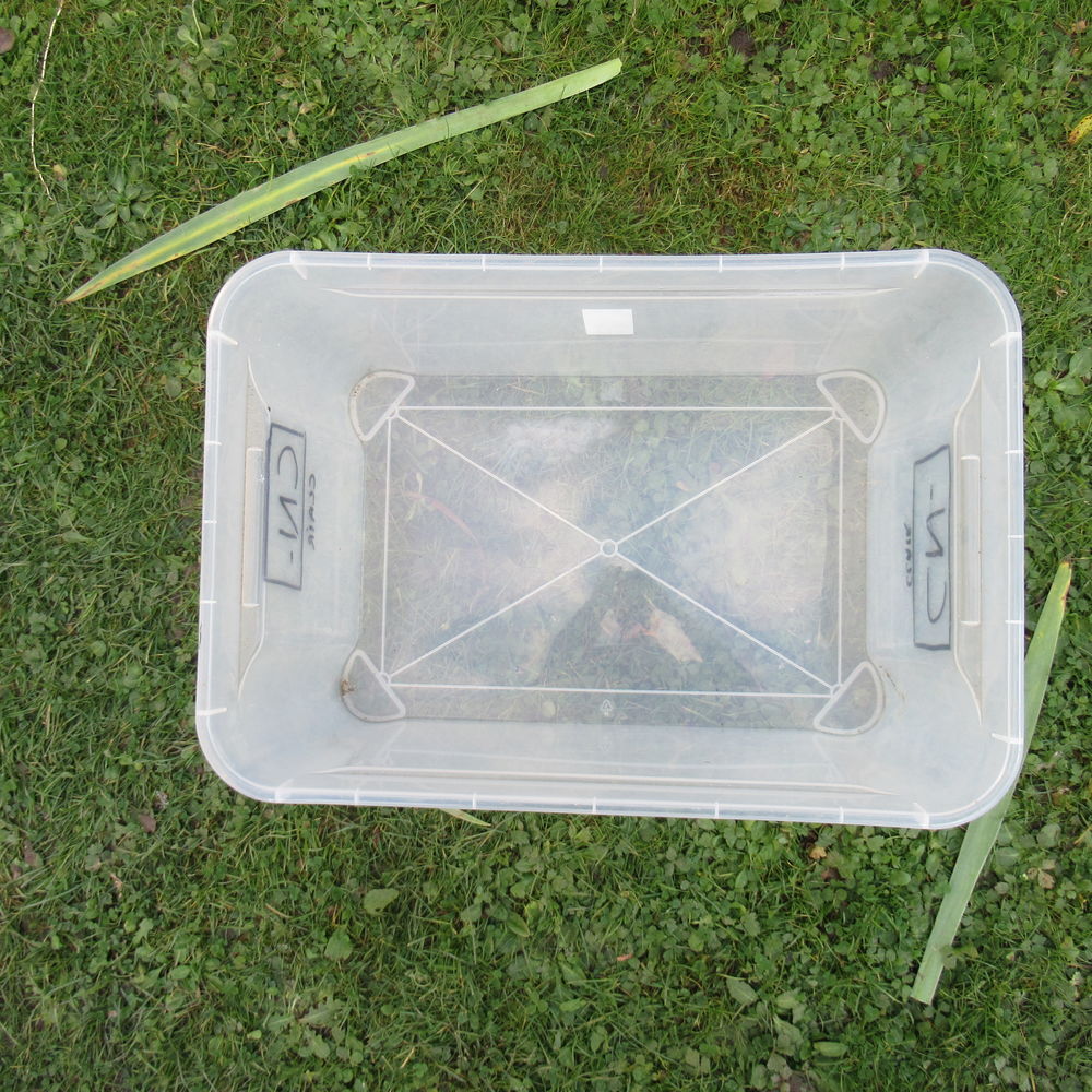 Bac de rangement plastique transparent 19 Bricolage