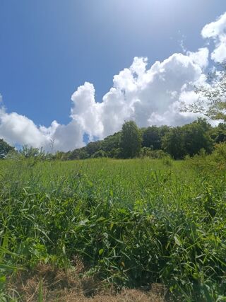  Terrain � vendre 1000 m�