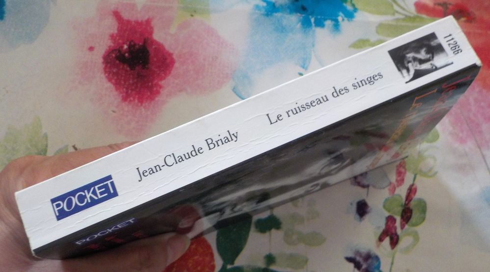 LE RUISSEAU DES SINGES par Jean-Claude BRIALY Ed. Pocket Livres et BD
