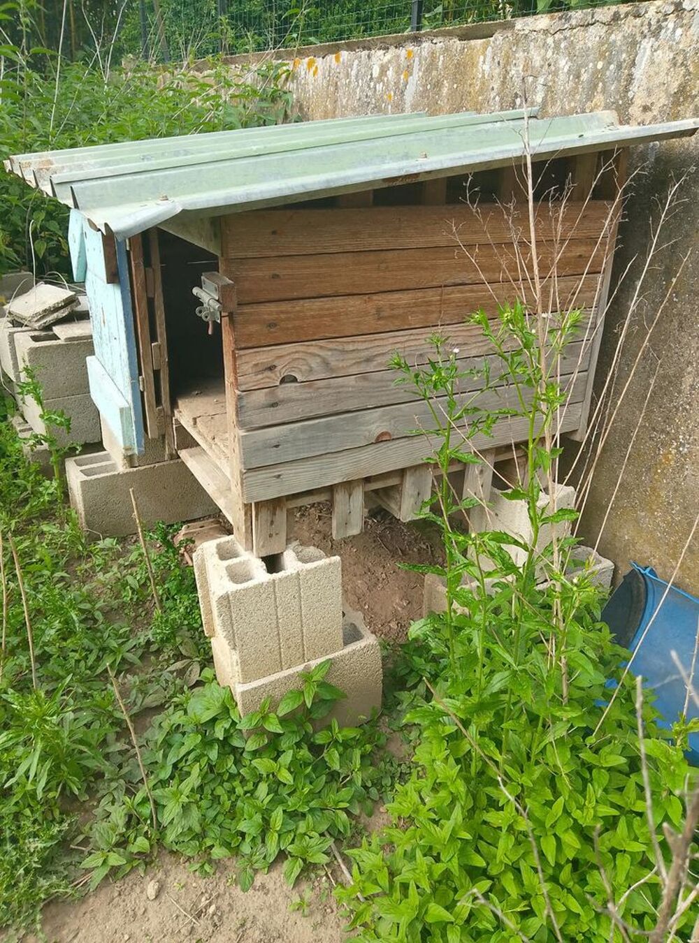 Maison pour poules Jardin