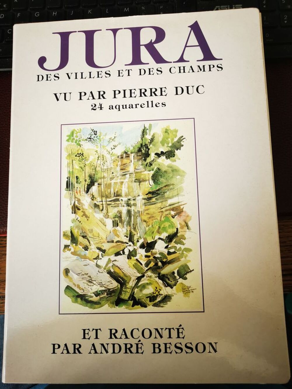 Jura des villes et des champs vu par Pierre Duc 24 aquarelle Livres et BD