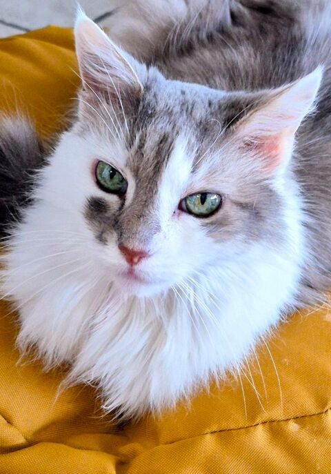 Aide &agrave; la personne 0 83520 Roquebrune-sur-argens