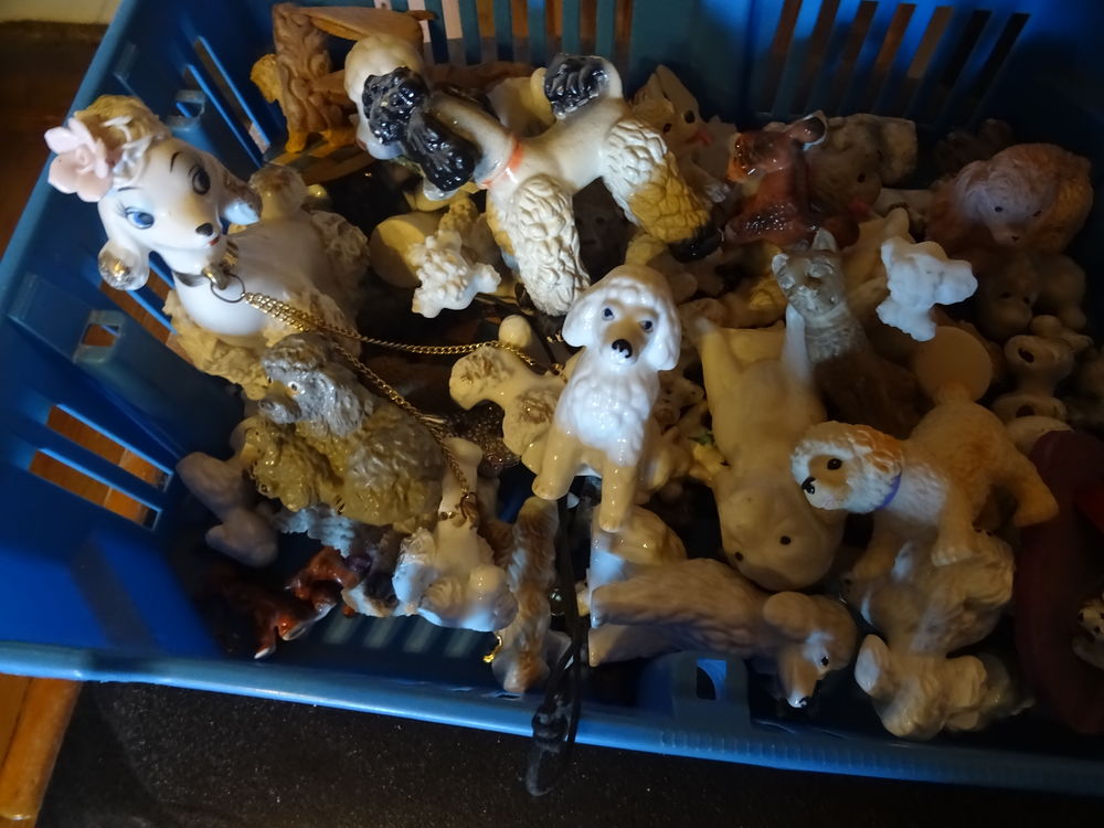 Lot de chiens caniches Décoration