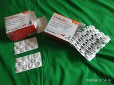   VENDU - CARDISURE 10 MG 