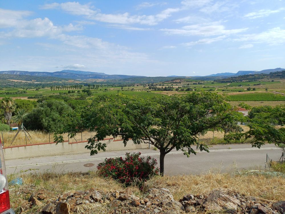 Vente Terrain terrain constructible 996m2 Montner