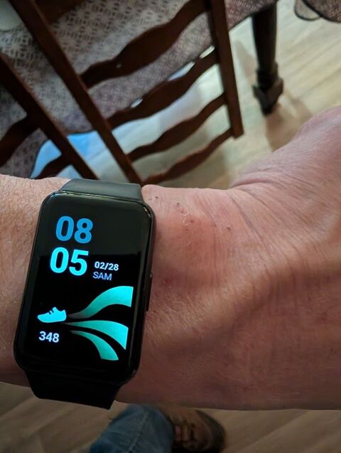 MONTRE CONNETEE ET BRACELET CONNECTEE 45 Villeneuve-d'Ascq (59)