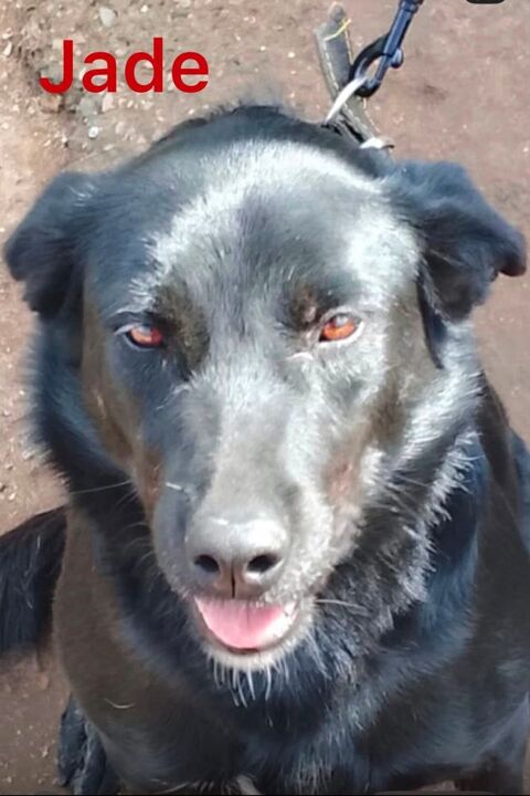 JADE SE TROUVE DANS UN REFUGE AU MAROC 0 75018 Paris