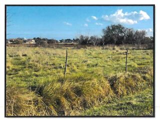  Terrain � vendre 1845 m� Saint-cyprien