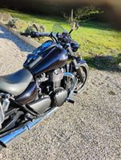 TRIUMPH 2011 occasion 24430 Coursac