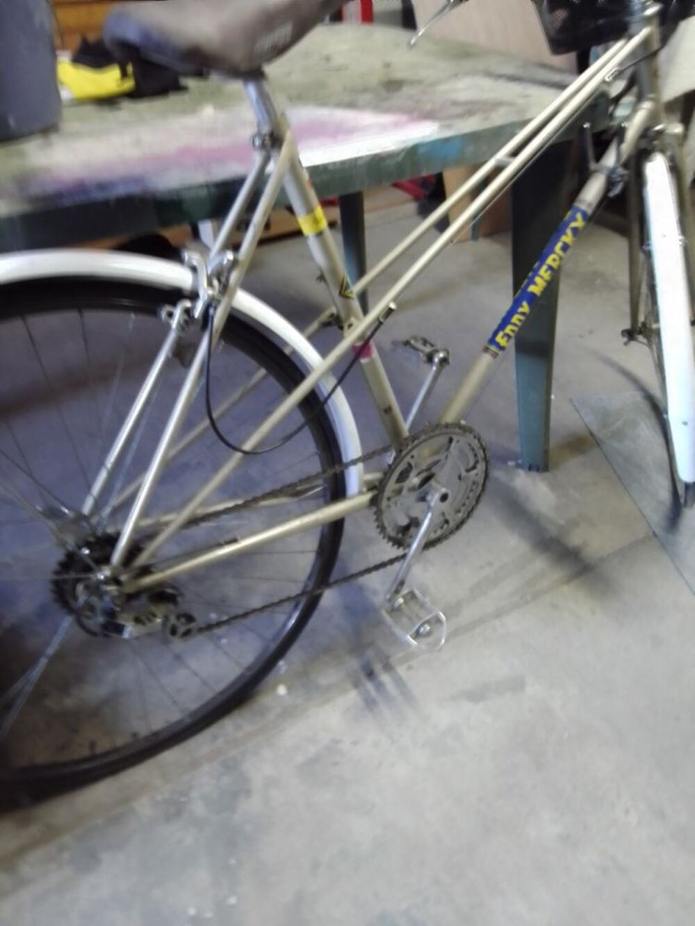 velo Eddy Merckx feminin Sports