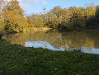  Terrain  vendre 12193 m