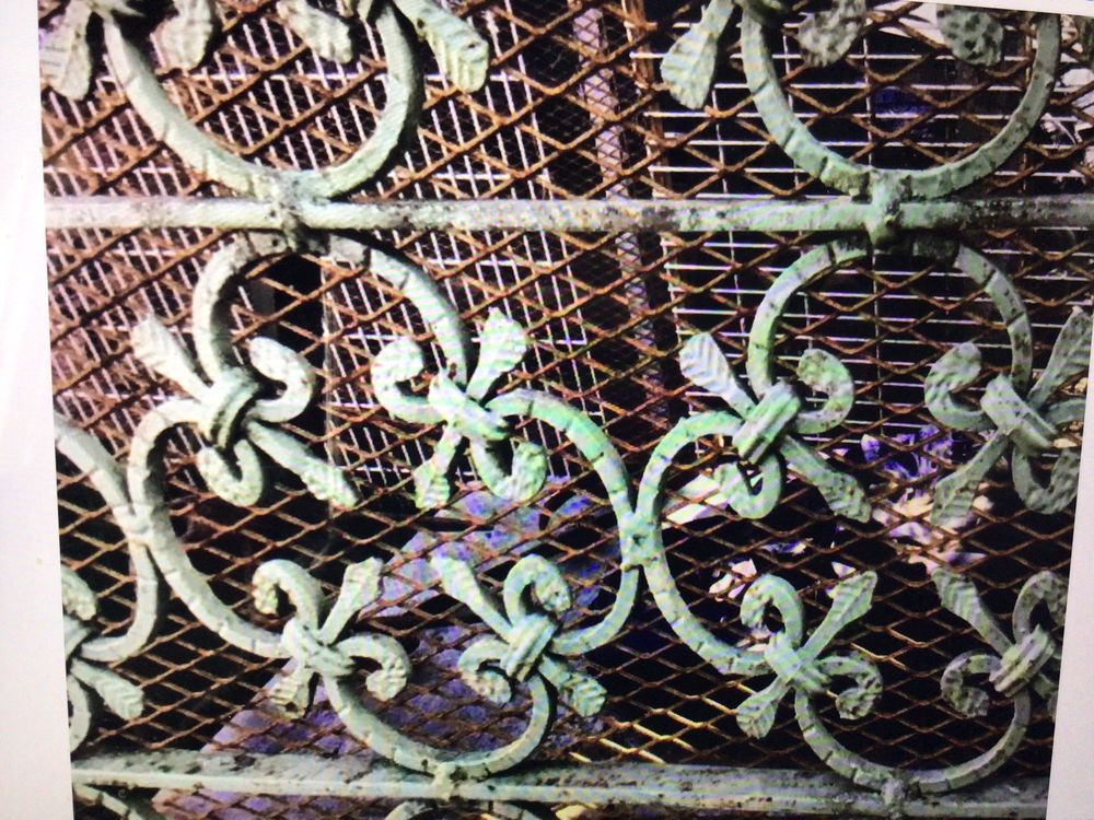 Porte en acier /fer forg&eacute; avec cadre motifs rosa&ccedil;e
Décoration