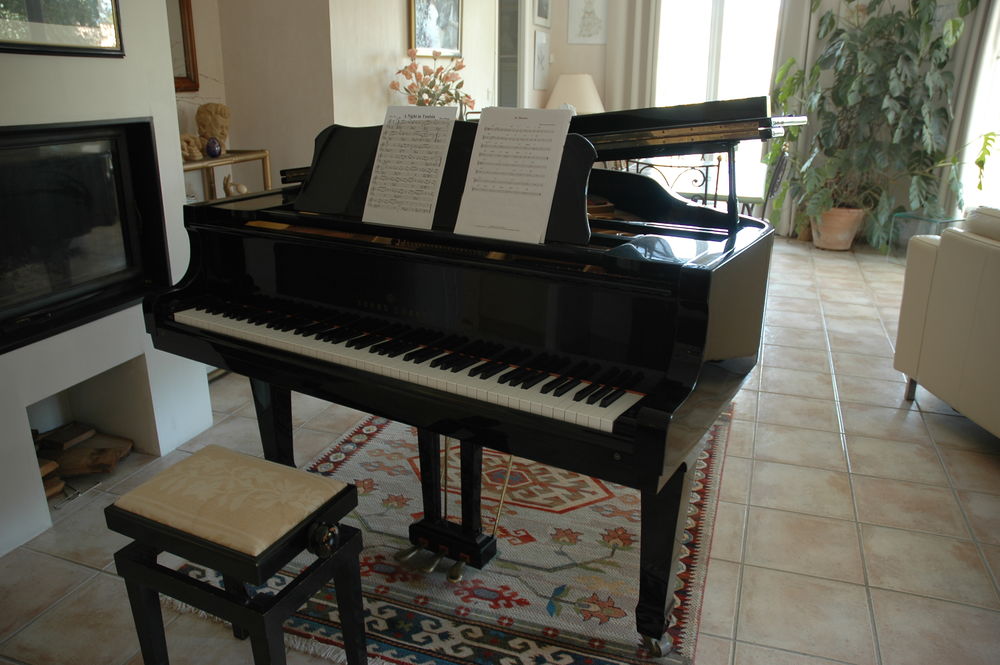 Piano 1/4 queue, Young Shang Instruments de musique