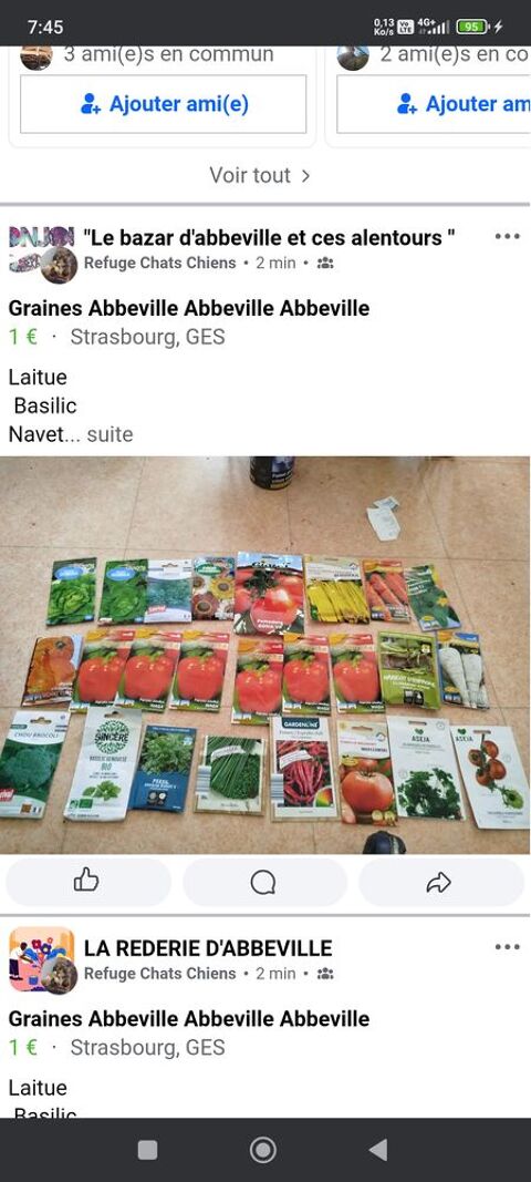 Lot 60 sachets de graines 1euro pi�ce Abbeville (80)