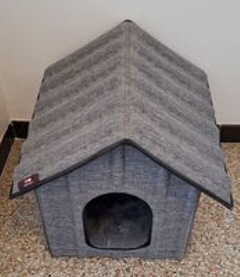  Maison chat 