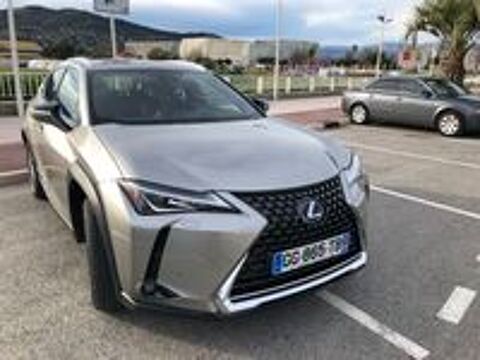 UX 300e Luxe 2022 occasion 06000 Nice