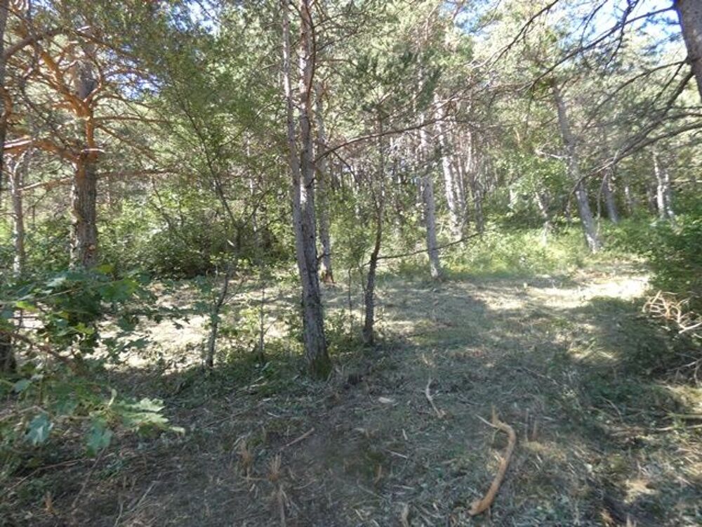 Vente Terrain Joli terrain constructible et viabilis de 791m Aspres-sur-buch