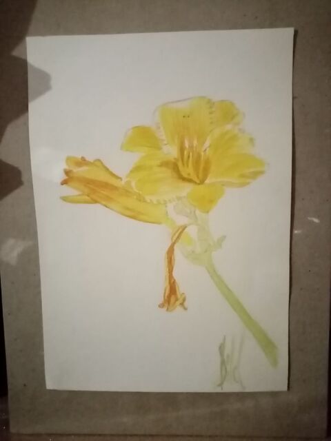 JE Donnes cours de dessins 0 54300 Lunville