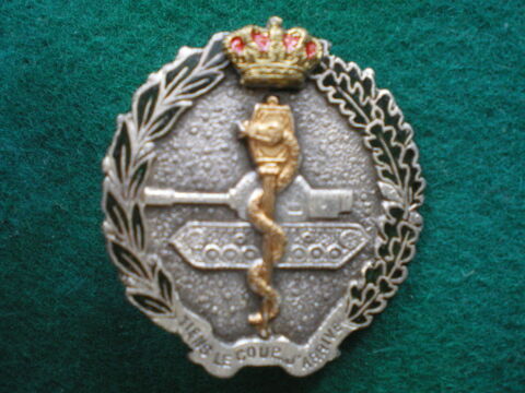 Insigne de Santé - Insigne britannique 17°Compagnie Médicale 15 Caen (14)