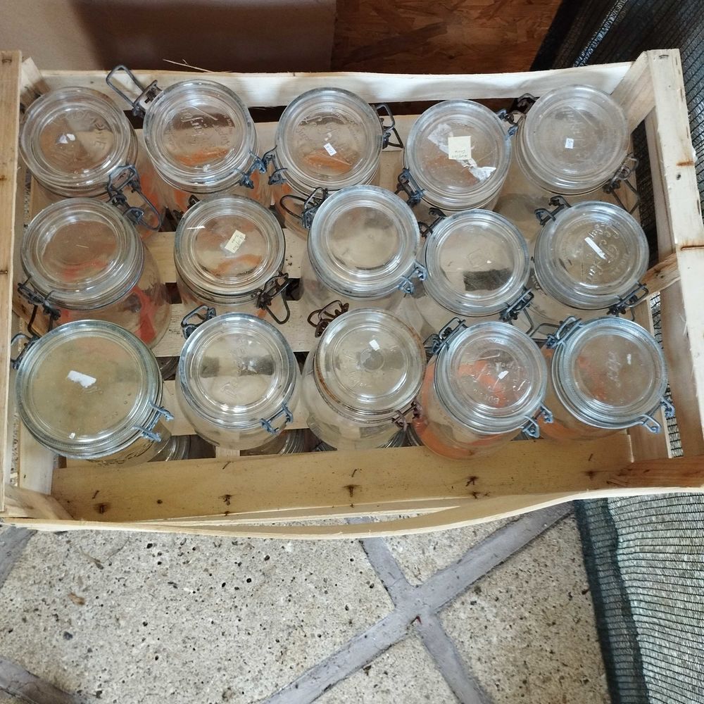boceaux pour conserve Jardin