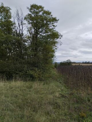  Terrain  vendre 1000 m