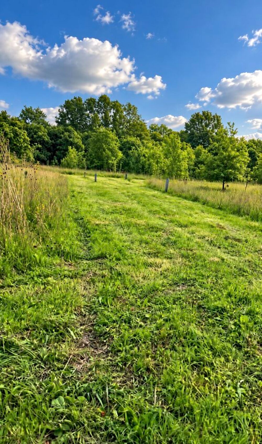 Vente Terrain Garidech ? Terrain 1600 m² entre gare et centre-ville Garidech